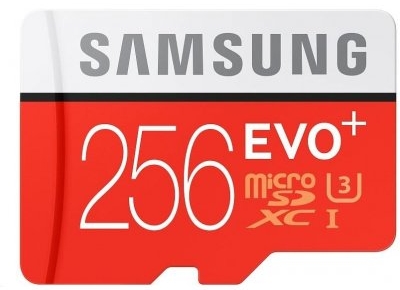 minnekort - 256 GB micro SD-kort